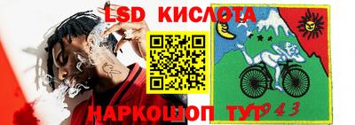 мяу мяу мука Баксан