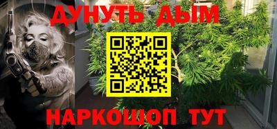 мяу мяу мука Баксан